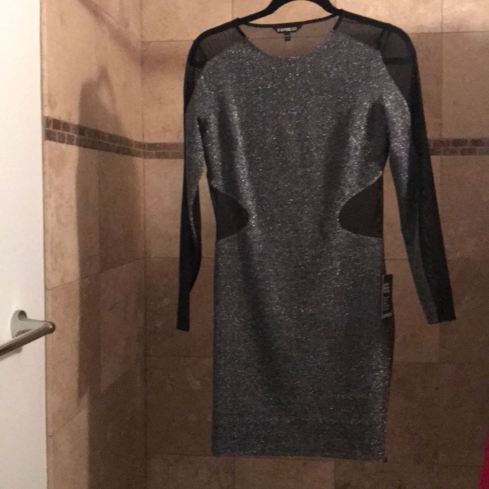 Polyester metallic dress